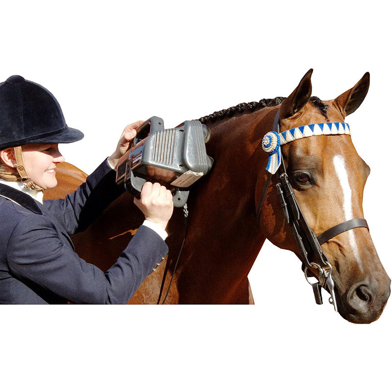 Thumper Equine Pro Professional Massager for Horses