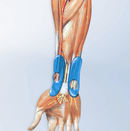 Bauerfeind ManuTrain