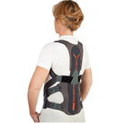 Orliman DorsoLumbar Brace DorsoTech