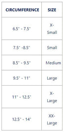 Double Strap Ankle Support