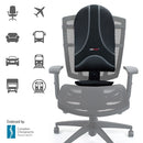 Universal Backrest Support